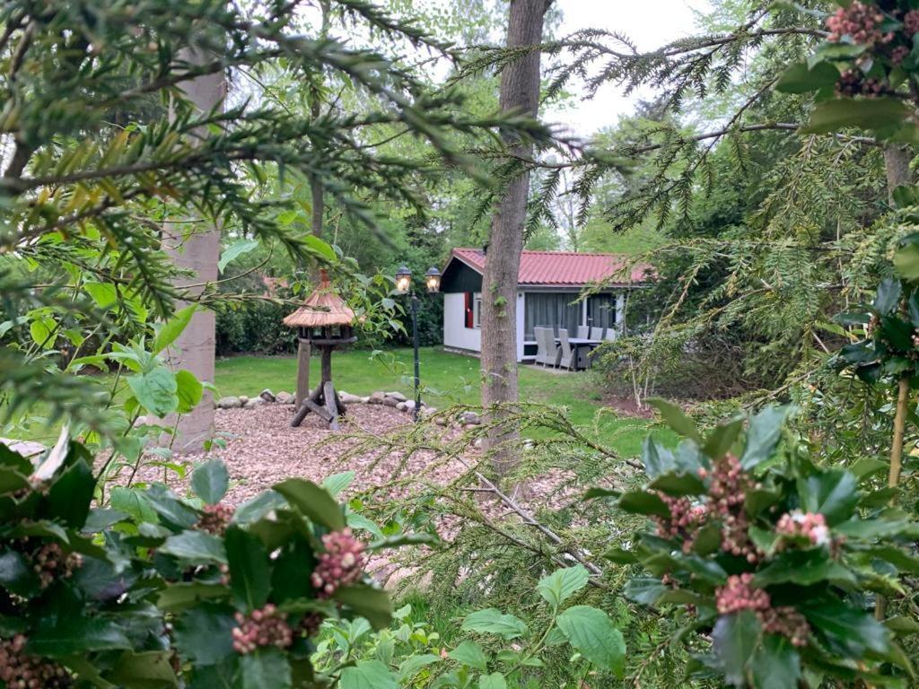 Huisje 96 Exloo Zewnętrze zdjęcie